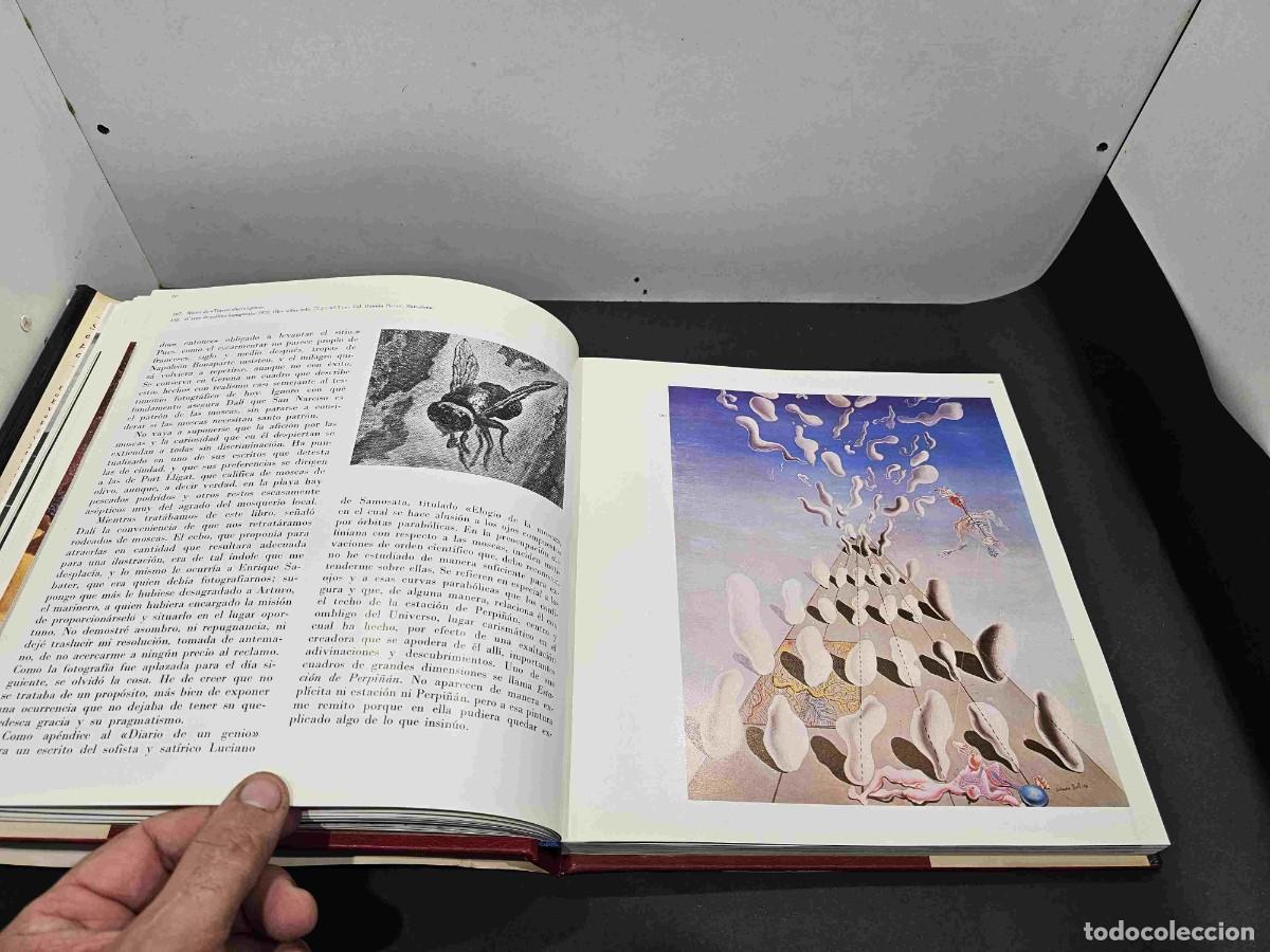 Libros de segunda mano: LIBRO DALI TODO EN UN ROSTRO ED BLUME 1975 - Foto 8
