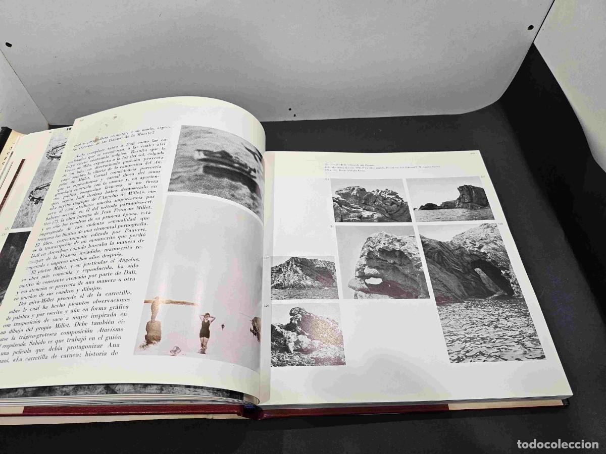 Libros de segunda mano: LIBRO DALI TODO EN UN ROSTRO ED BLUME 1975 - Foto 9