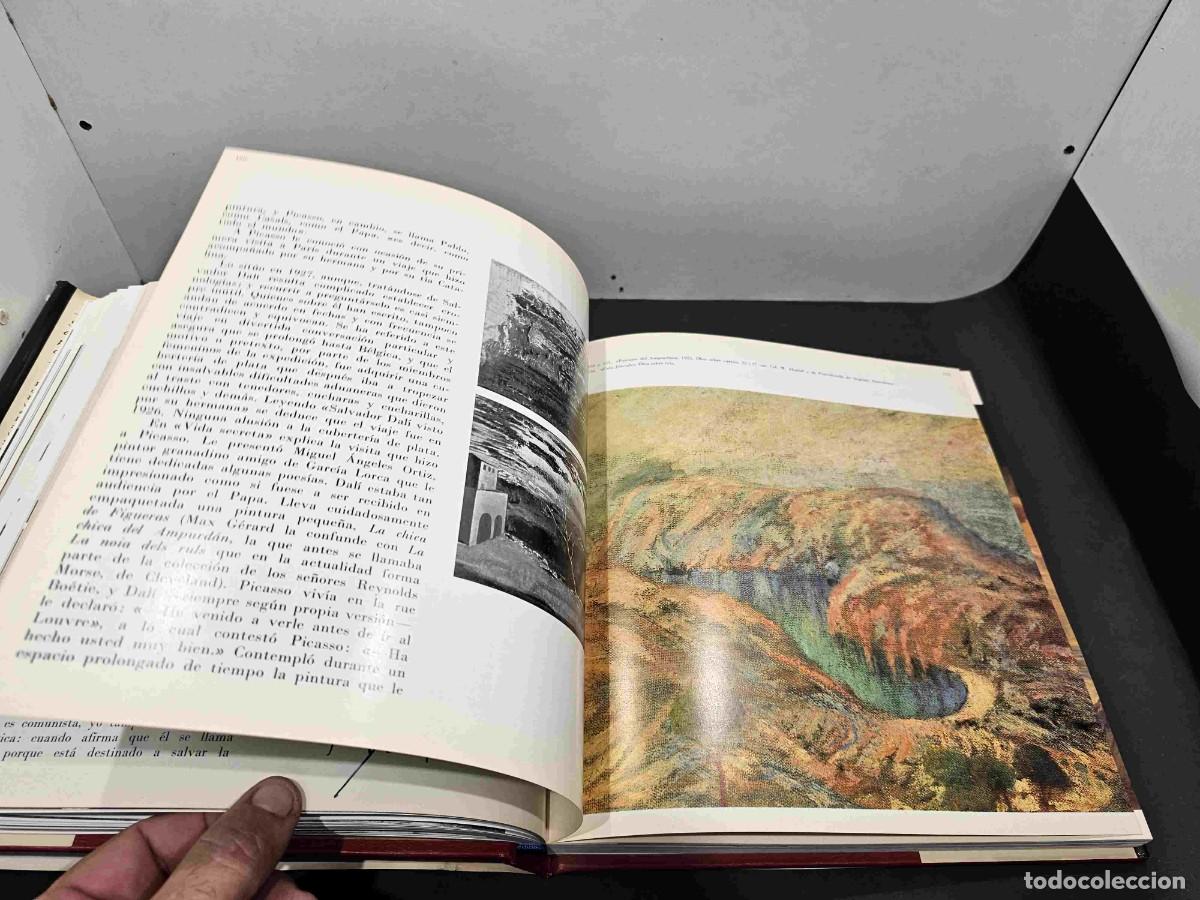 Libros de segunda mano: LIBRO DALI TODO EN UN ROSTRO ED BLUME 1975 - Foto 10