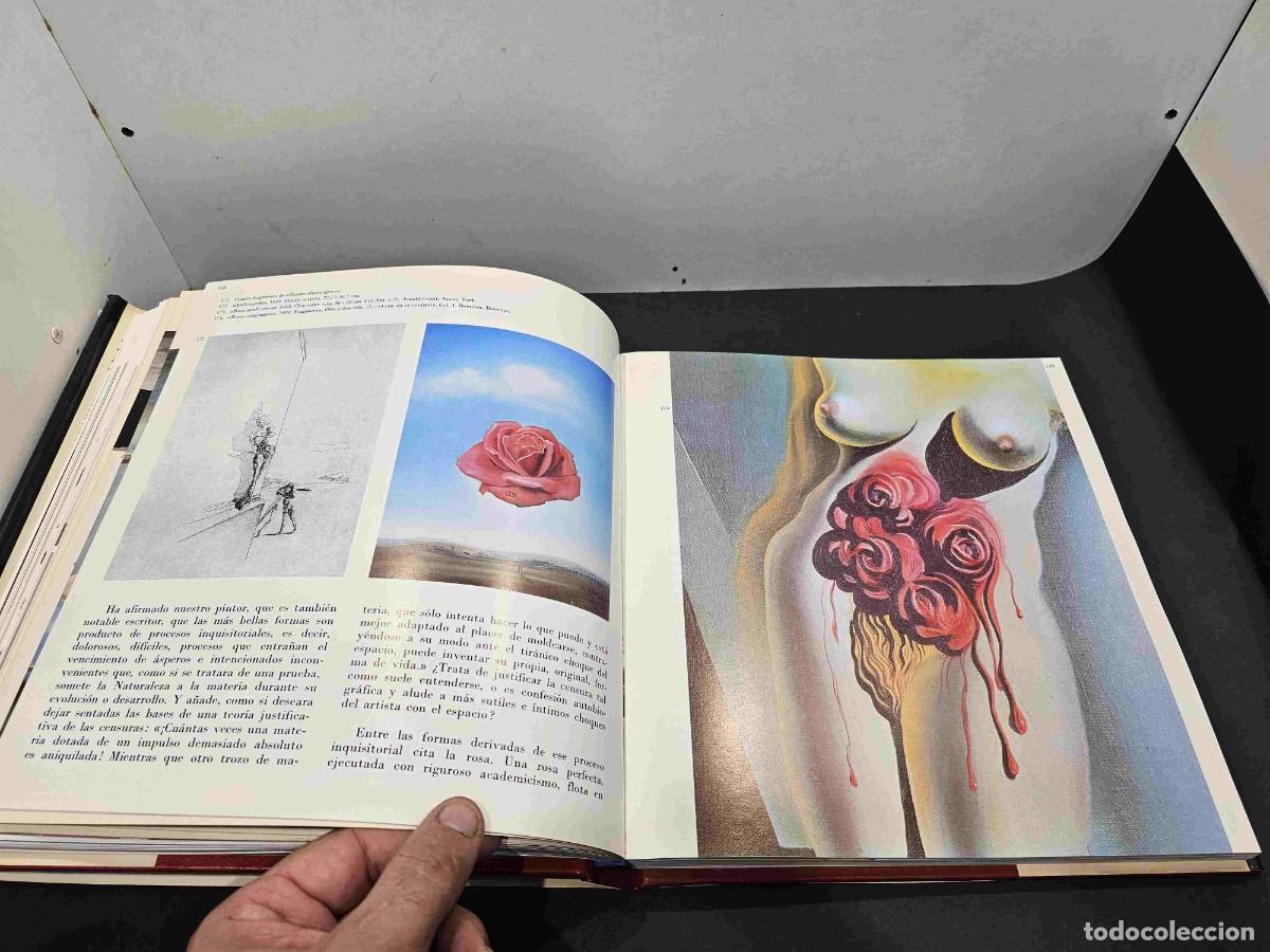 Libros de segunda mano: LIBRO DALI TODO EN UN ROSTRO ED BLUME 1975 - Foto 11