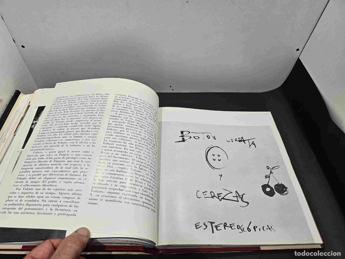 Libros de segunda mano: LIBRO DALI TODO EN UN ROSTRO ED BLUME 1975 - Foto 12