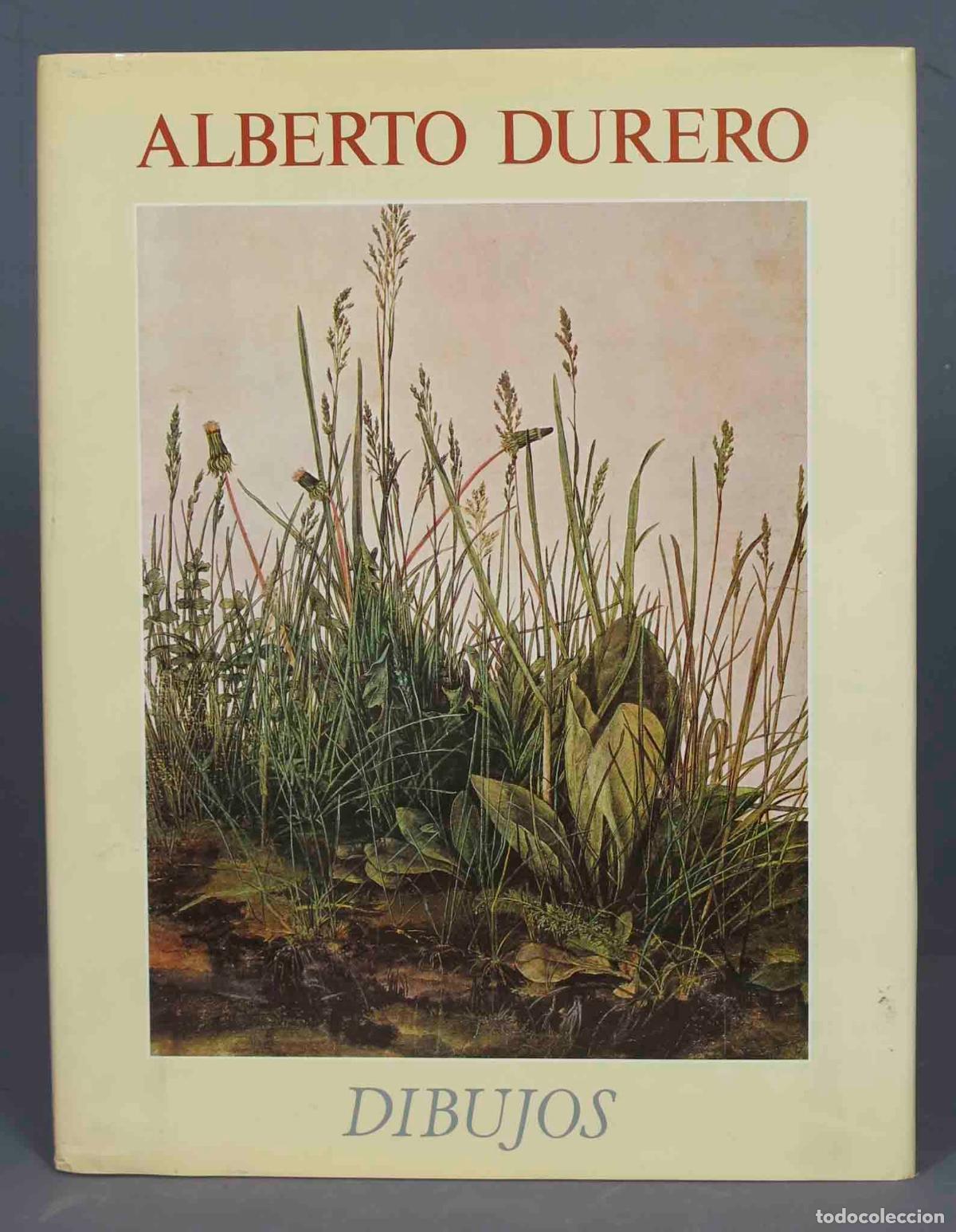 Libros de segunda mano: DIBUJOS. ALBERTO DURERO. 1981 - Foto 1