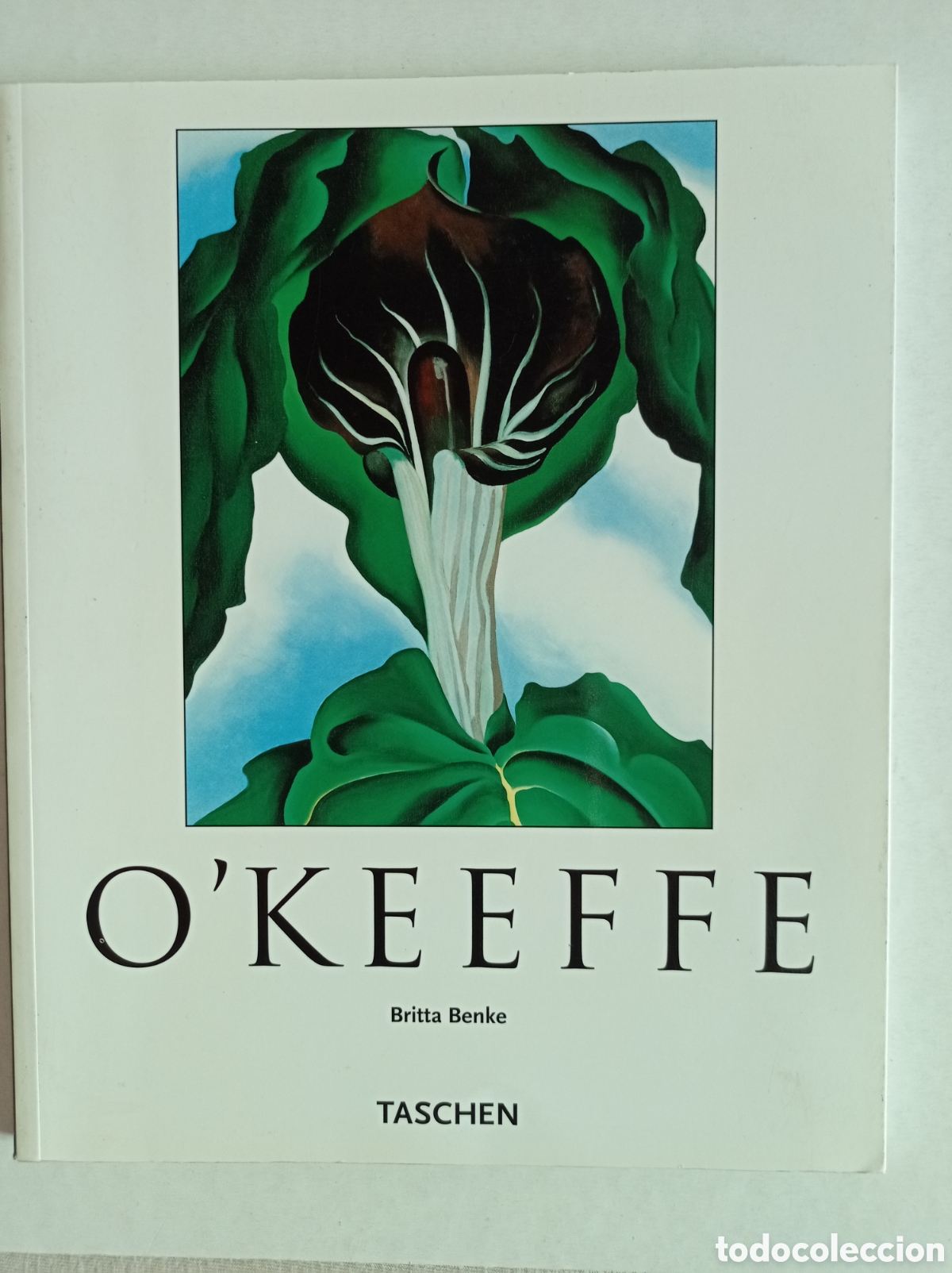 Libros de segunda mano: OKeeffe - Foto 1