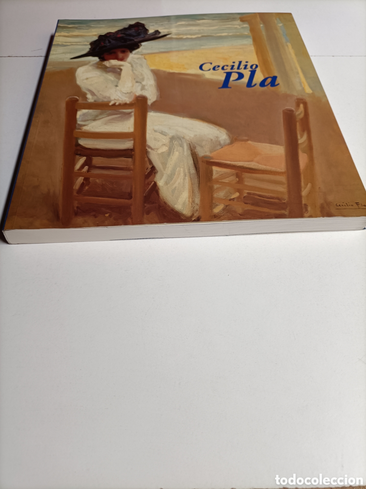 Libros de segunda mano: Cecilio Pla . Fundaci&oacute;n Mapfre . - Foto 3