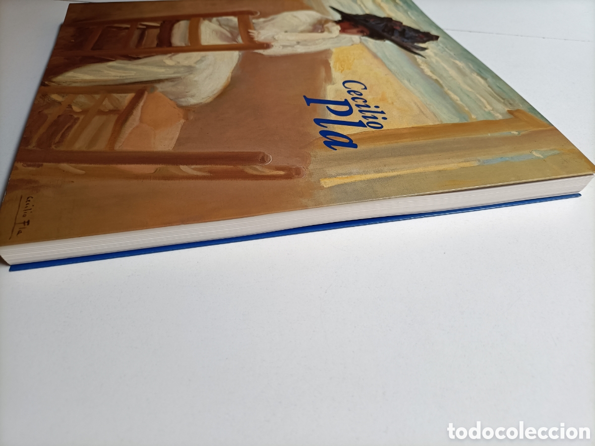 Libros de segunda mano: Cecilio Pla . Fundaci&oacute;n Mapfre . - Foto 5