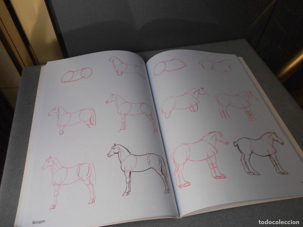 Libros de segunda mano: COMO DIBUJAR CABALLOS - Foto 3