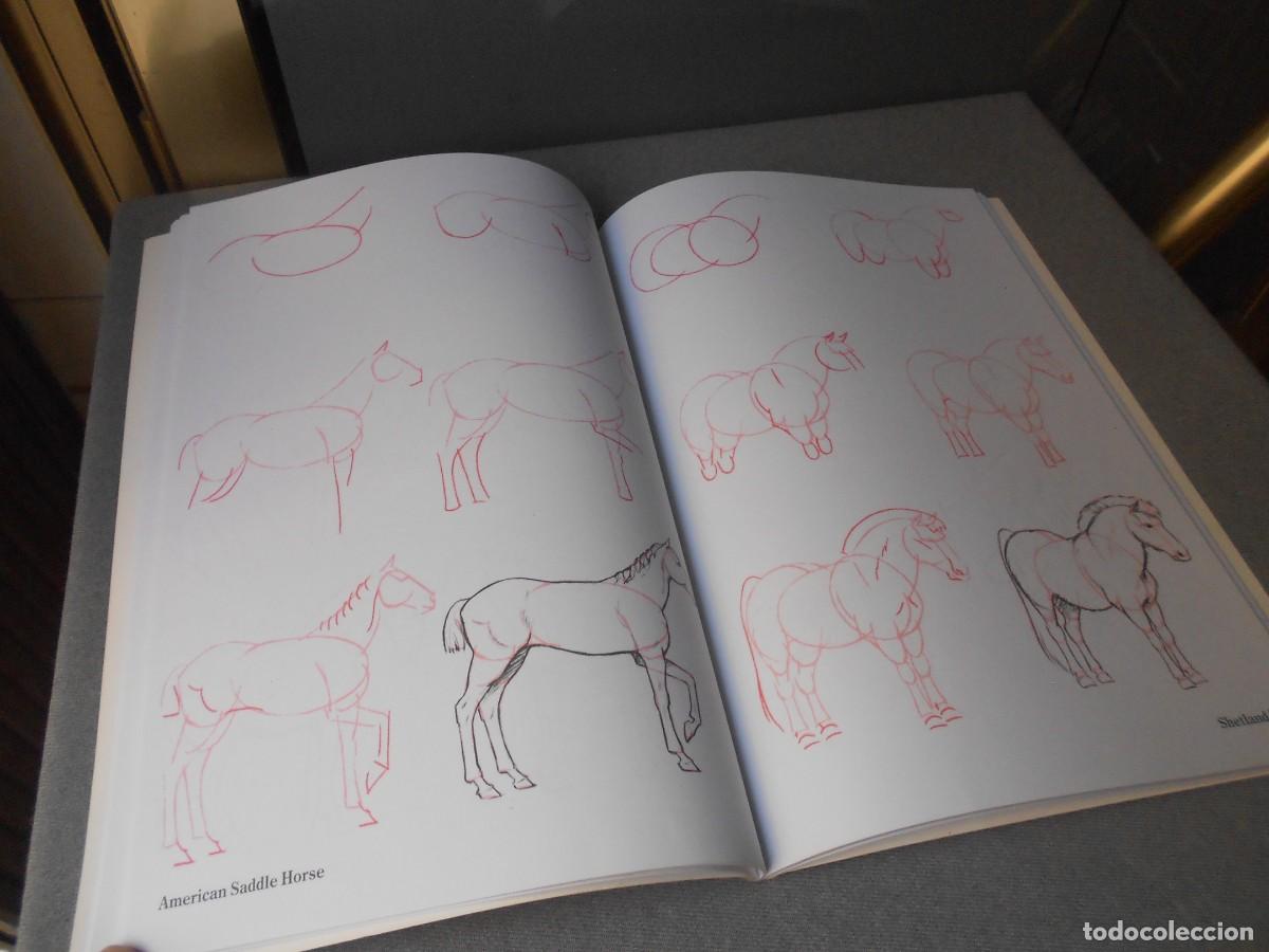 Libros de segunda mano: COMO DIBUJAR CABALLOS - Foto 4