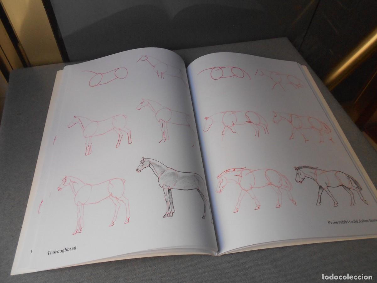 Libros de segunda mano: COMO DIBUJAR CABALLOS - Foto 5