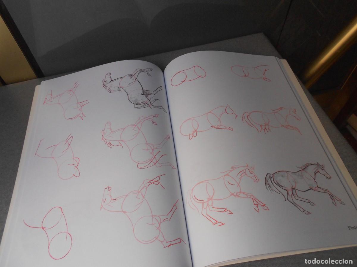 Libros de segunda mano: COMO DIBUJAR CABALLOS - Foto 6
