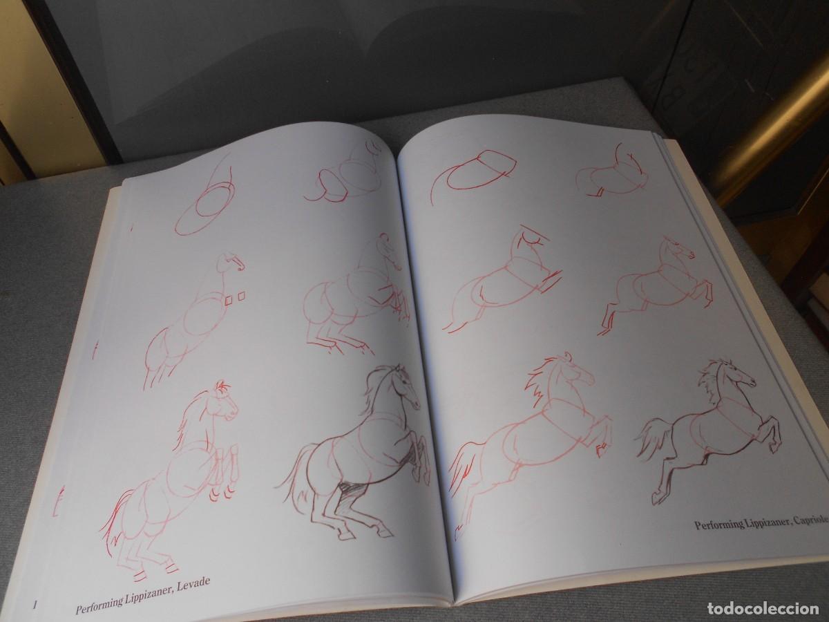 Libros de segunda mano: COMO DIBUJAR CABALLOS - Foto 7