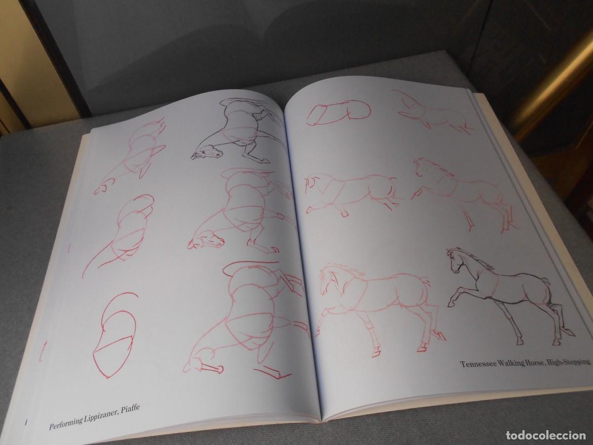 Libros de segunda mano: COMO DIBUJAR CABALLOS - Foto 8