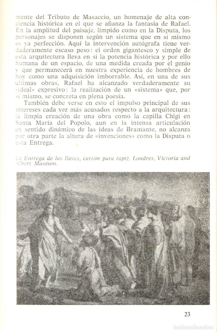 Libros de segunda mano: Rafael - Monti, Raffaele - Foto 2