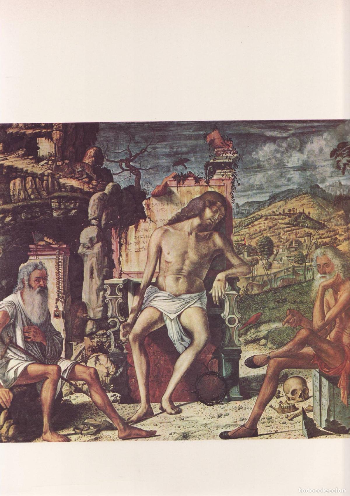 Libros de segunda mano: Carpaccio - Pignatti, Terisio - Foto 2