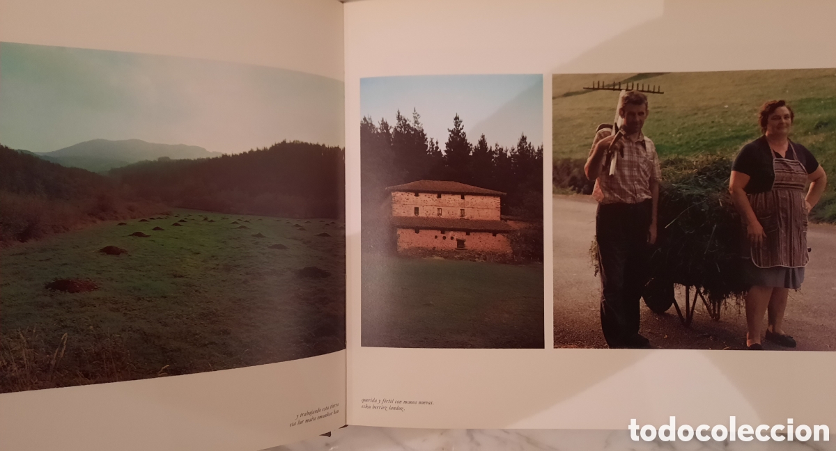 Libros de segunda mano: &Aacute;lava abierta. Alberto Schommer - Foto 4