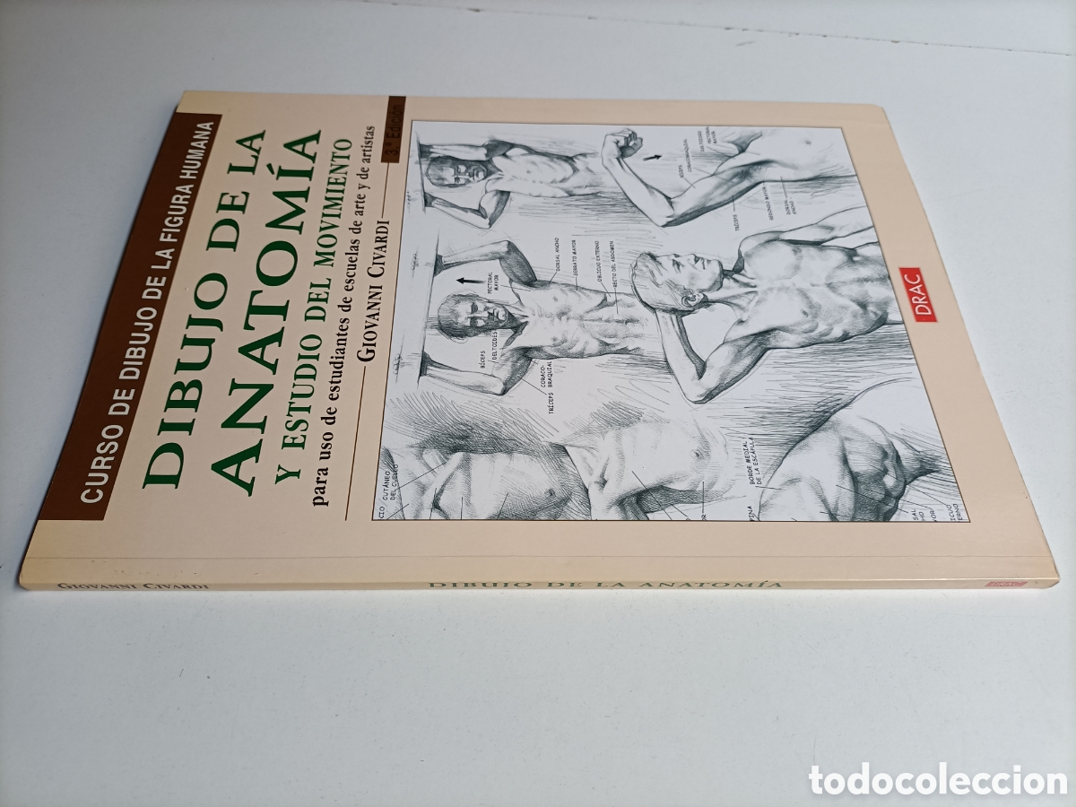 Libros de segunda mano: Dibujo de la anatom&iacute;a y estudio del movimiento Giovanni cibardi t&eacute;cnicas pintura