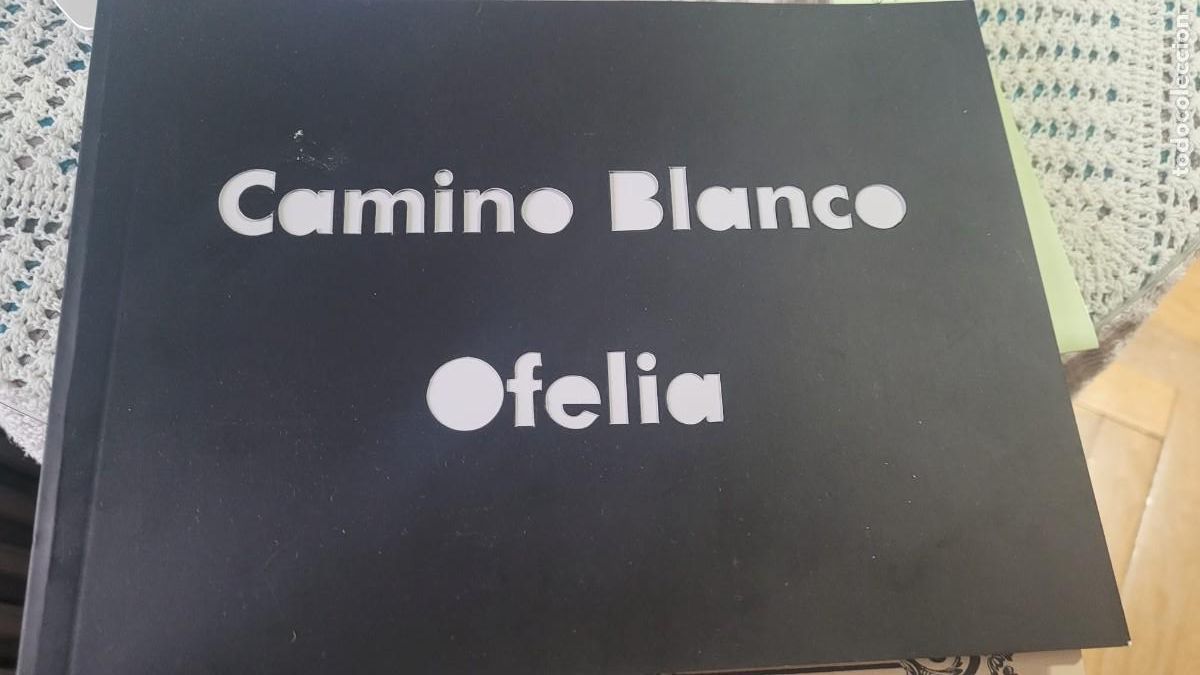 Libri di seconda mano: Camino Blanco - Paloma Souto y Andr&eacute;s H. Zuazo