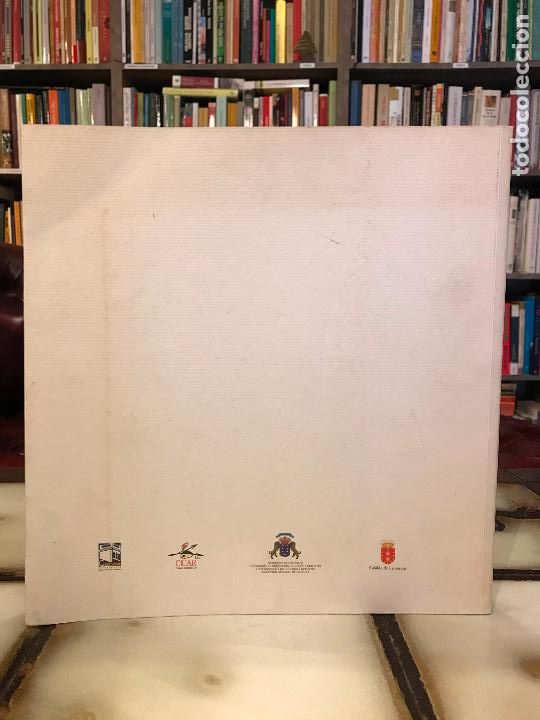 Libros de segunda mano: D&aacute;maso a Manrique. - Foto 2