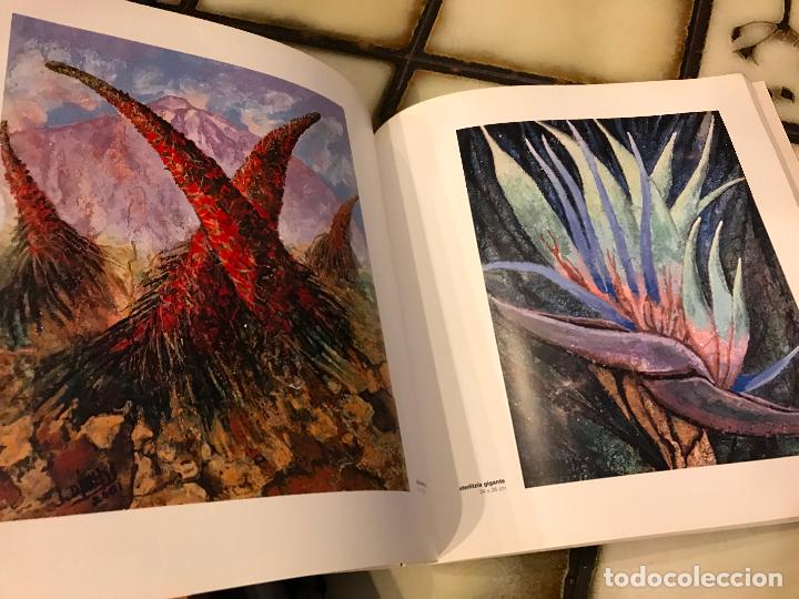Libros de segunda mano: D&aacute;maso a Manrique. - Foto 6