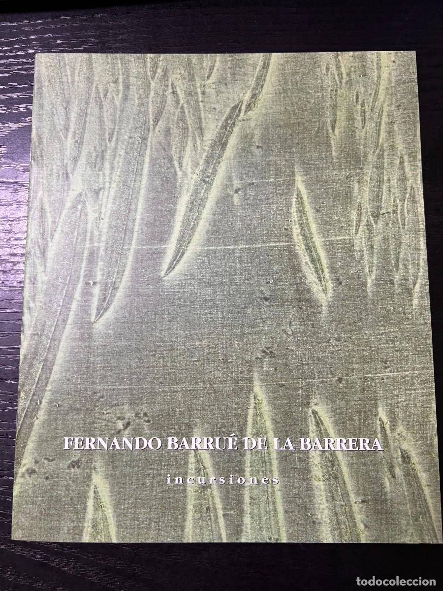 Libros de segunda mano: FERNANDO BARRU&Eacute; DE LA BARRERA. INCURSIONES. VALENCIA. SALA EXPOSICIONES IBERCAJA 2000. - Foto 1