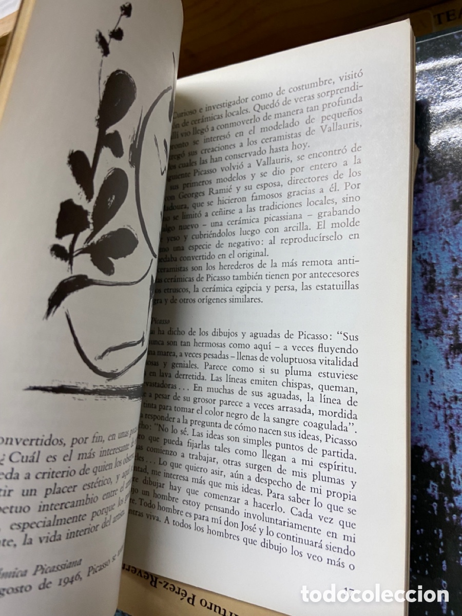 Libros de segunda mano: Caja62 JACQUES DAMASE - picasso - Foto 5