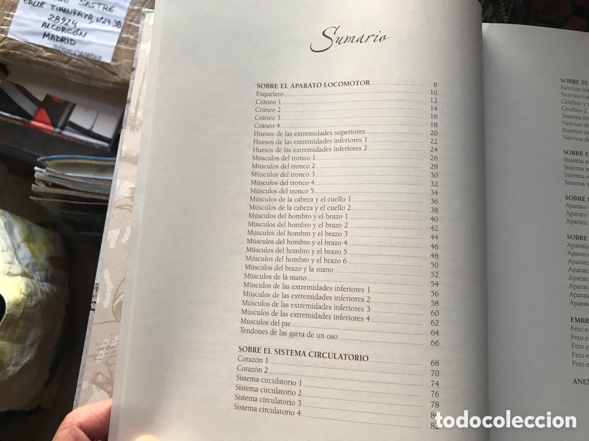 Libros de segunda mano: Leonardo da Vinci. Estudios y dibujos anat&oacute;micos - Foto 4