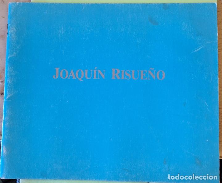 Libros de segunda mano: JOAQUIN RISUE&Ntilde;O. ABRIL 1992. - - Foto 1