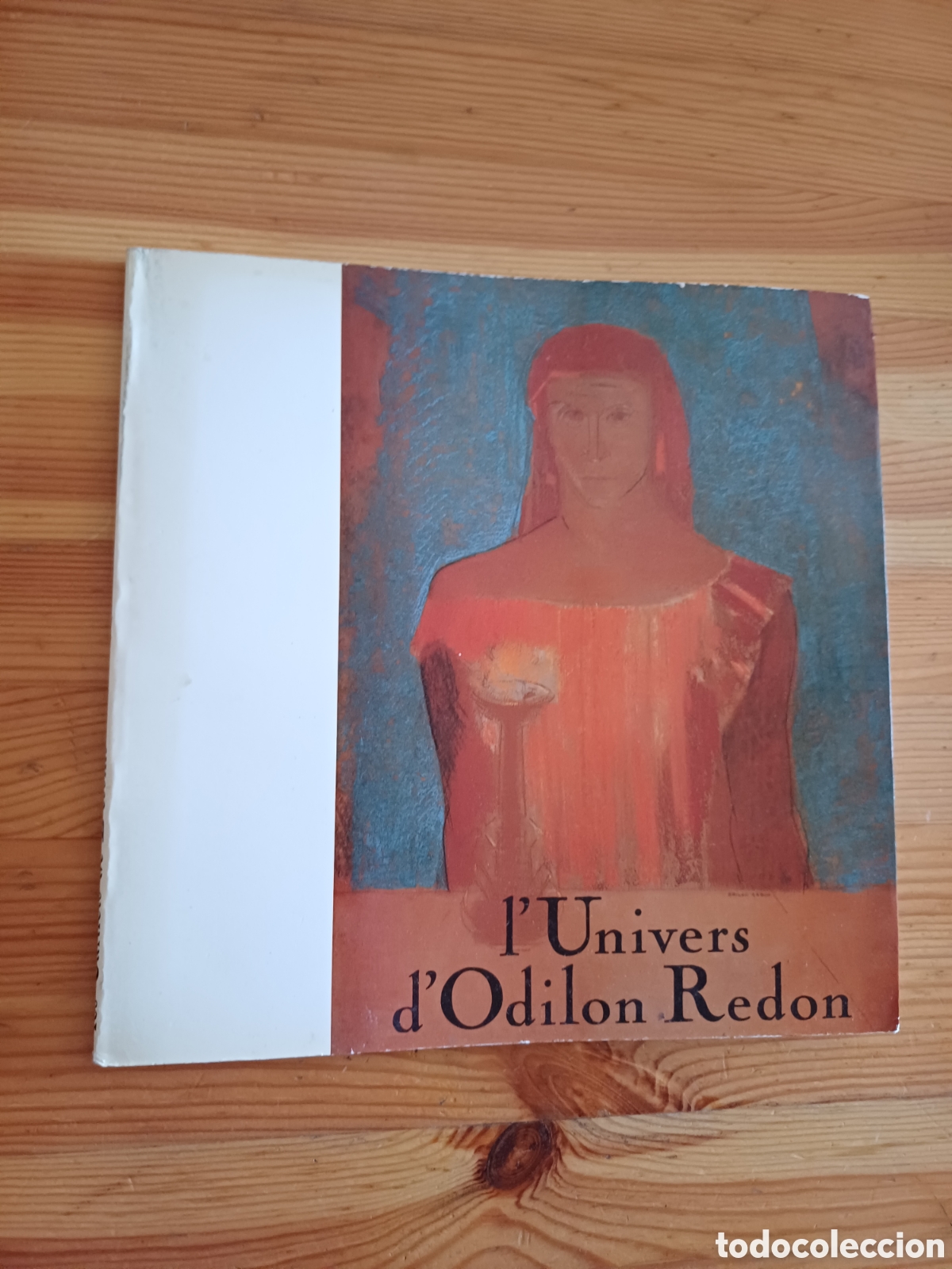 Libros de segunda mano: l'Univers d'Odilon Redon - Robert Coustet - arte - frances 1984 93 paginas - les Carnets de Dessins