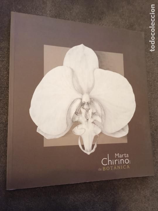 Libros de segunda mano: MARTA CHIRINO DE BOTANICA. MUSEO NESTOR. arte canarias