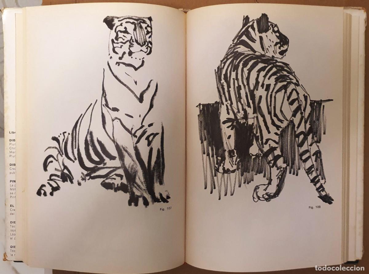Libros de segunda mano: DIBUJANDO ANIMALES. MARIO BAEZA. 1971. - Foto 3