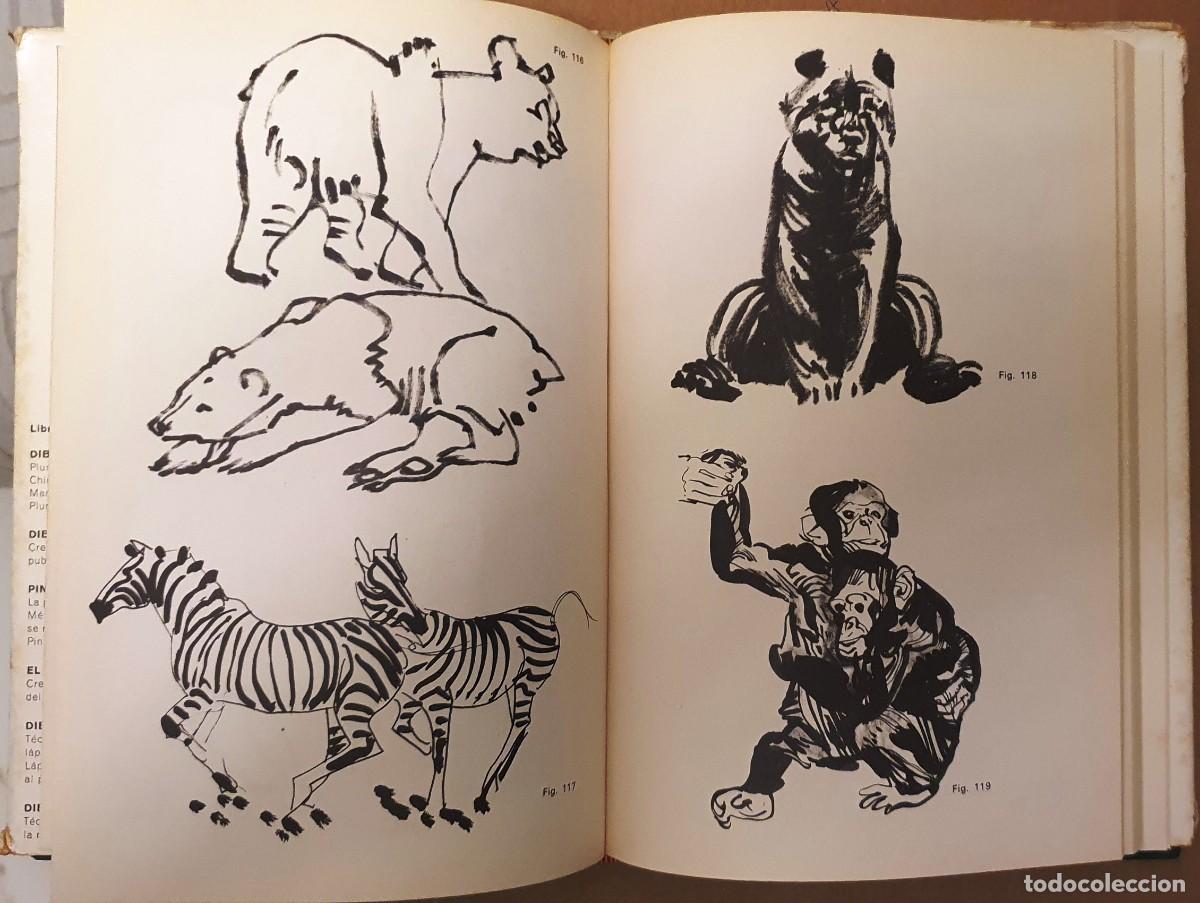 Libros de segunda mano: DIBUJANDO ANIMALES. MARIO BAEZA. 1971. - Foto 4
