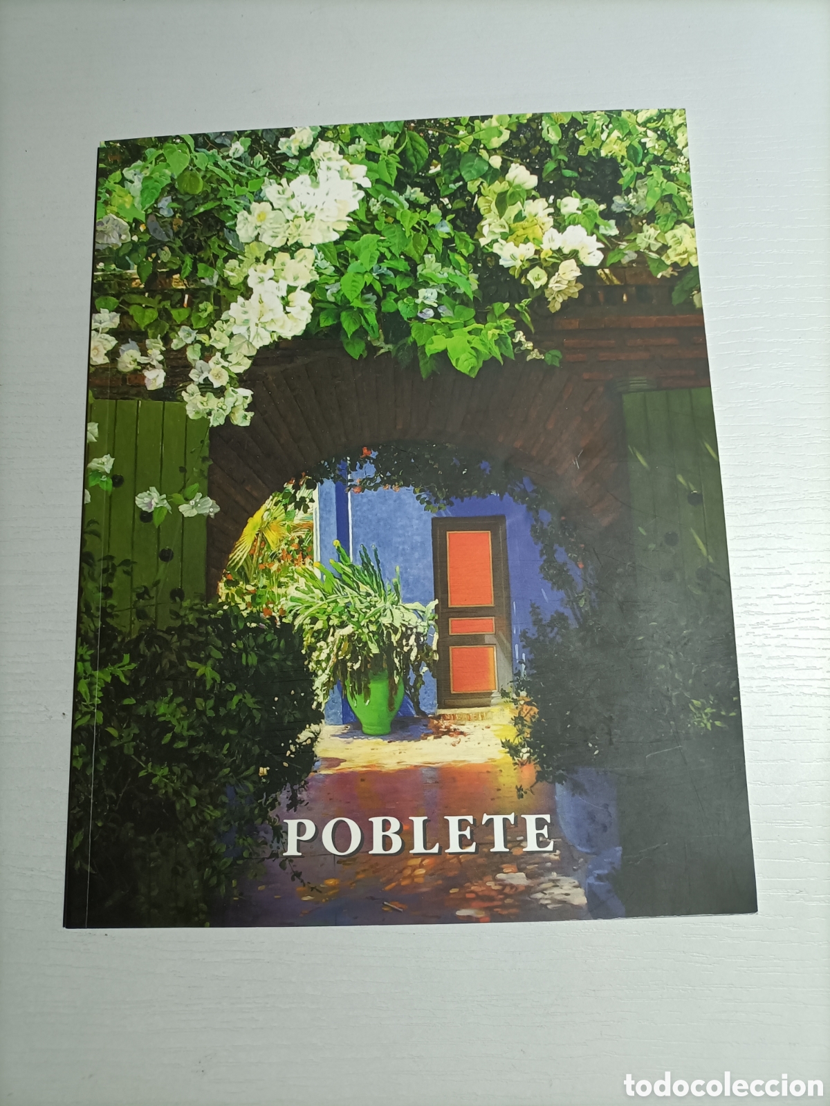 Livres d'occasion: Poblete. Galer&iacute;a Arte Sokoa 2009