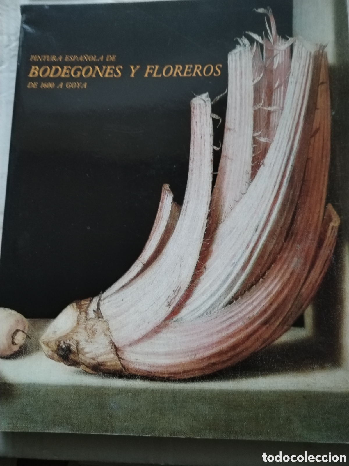 pintura española de bodegones y floreros de 160 - Buy Used books