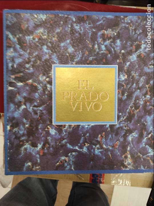Libros de segunda mano: EL PRADO VIVO / MUSEO NACIONAL DEL PRADO. MADRID : OPE ; CAJA DE MADRID, 1992.