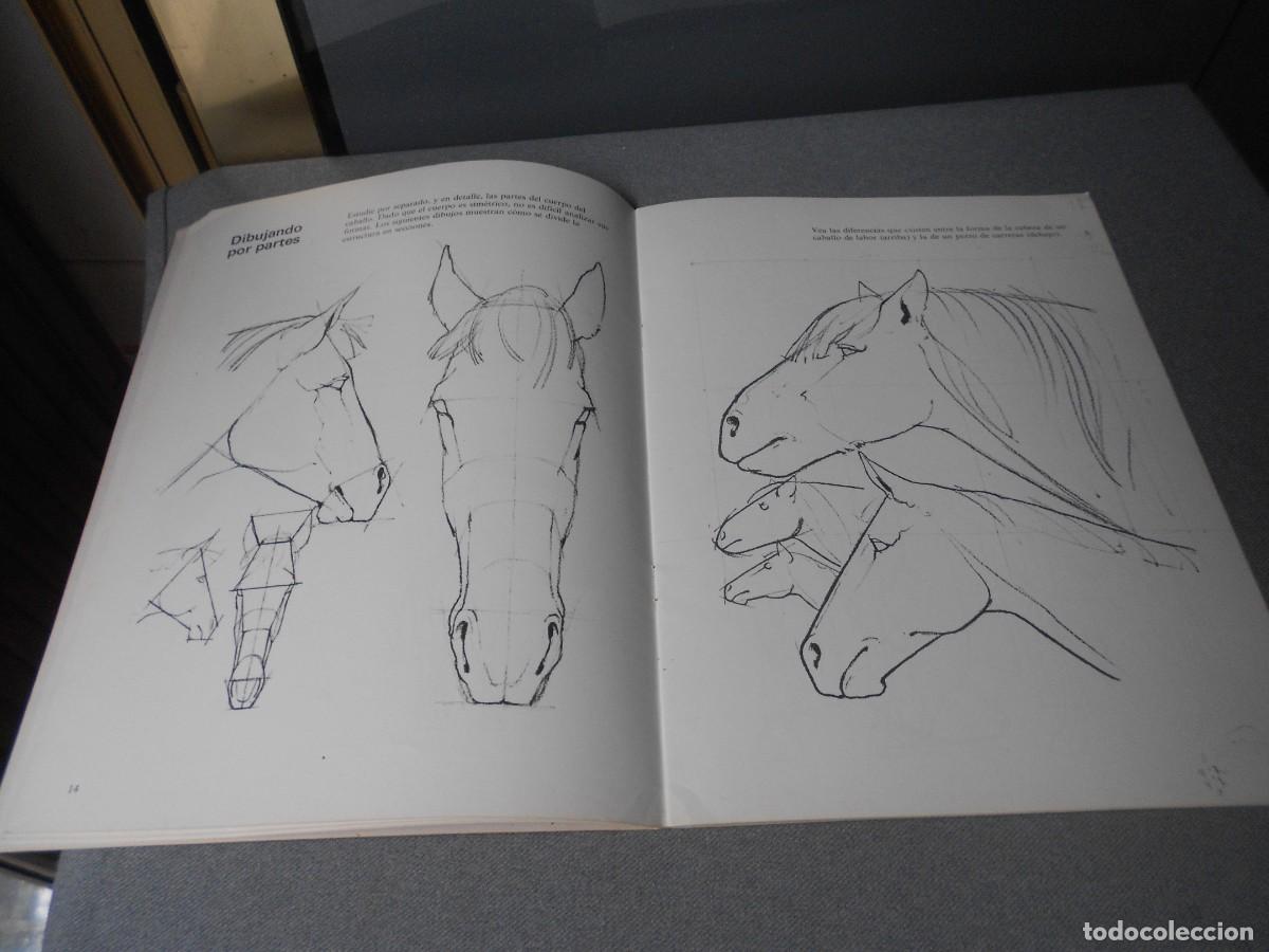 Libros de segunda mano: CUADERNOS PARA DIBUJAR CABALLOS - Foto 5