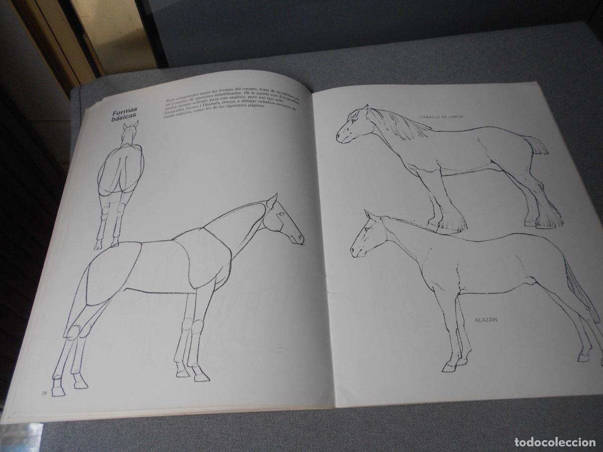 Libros de segunda mano: CUADERNOS PARA DIBUJAR CABALLOS - Foto 6