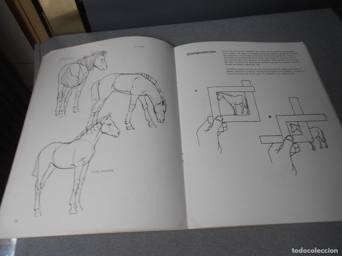 Libros de segunda mano: CUADERNOS PARA DIBUJAR CABALLOS - Foto 7