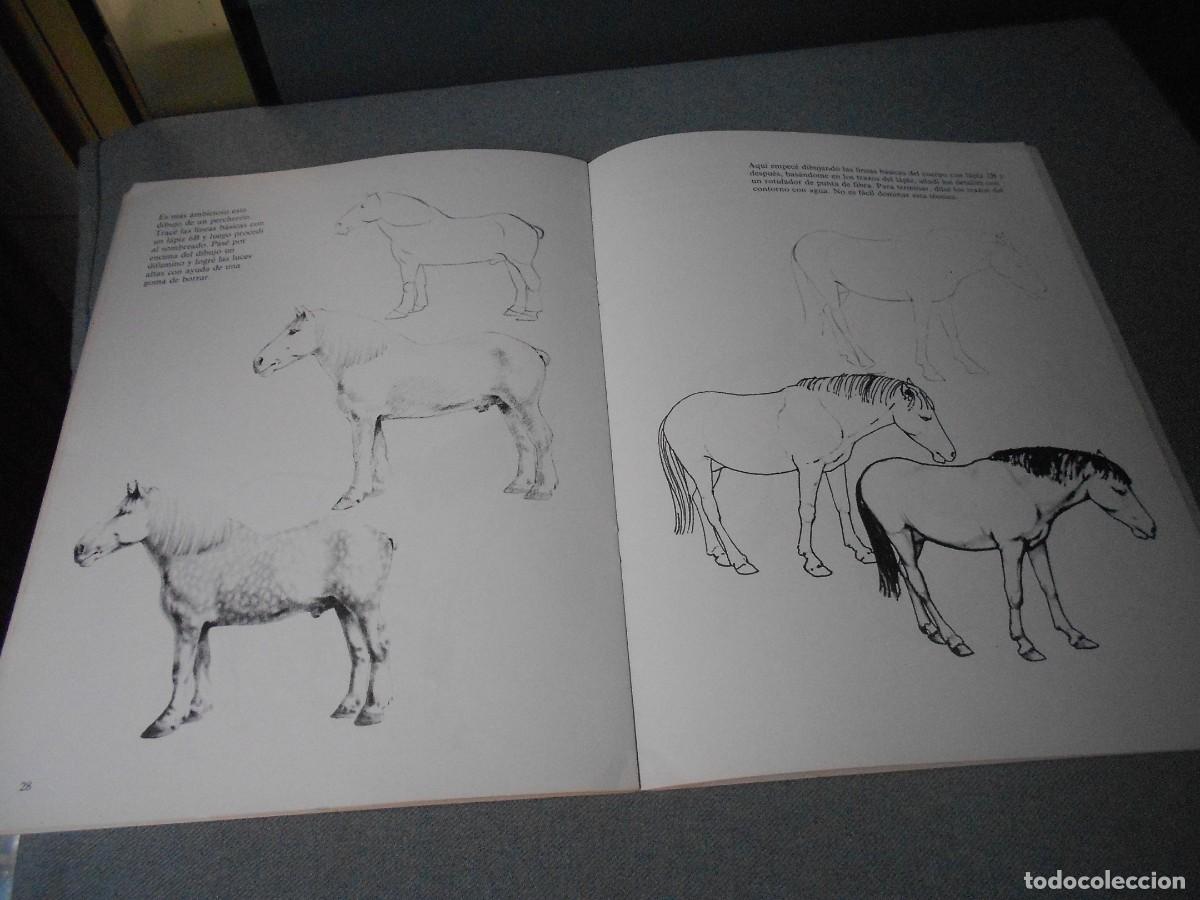 Libros de segunda mano: CUADERNOS PARA DIBUJAR CABALLOS - Foto 8