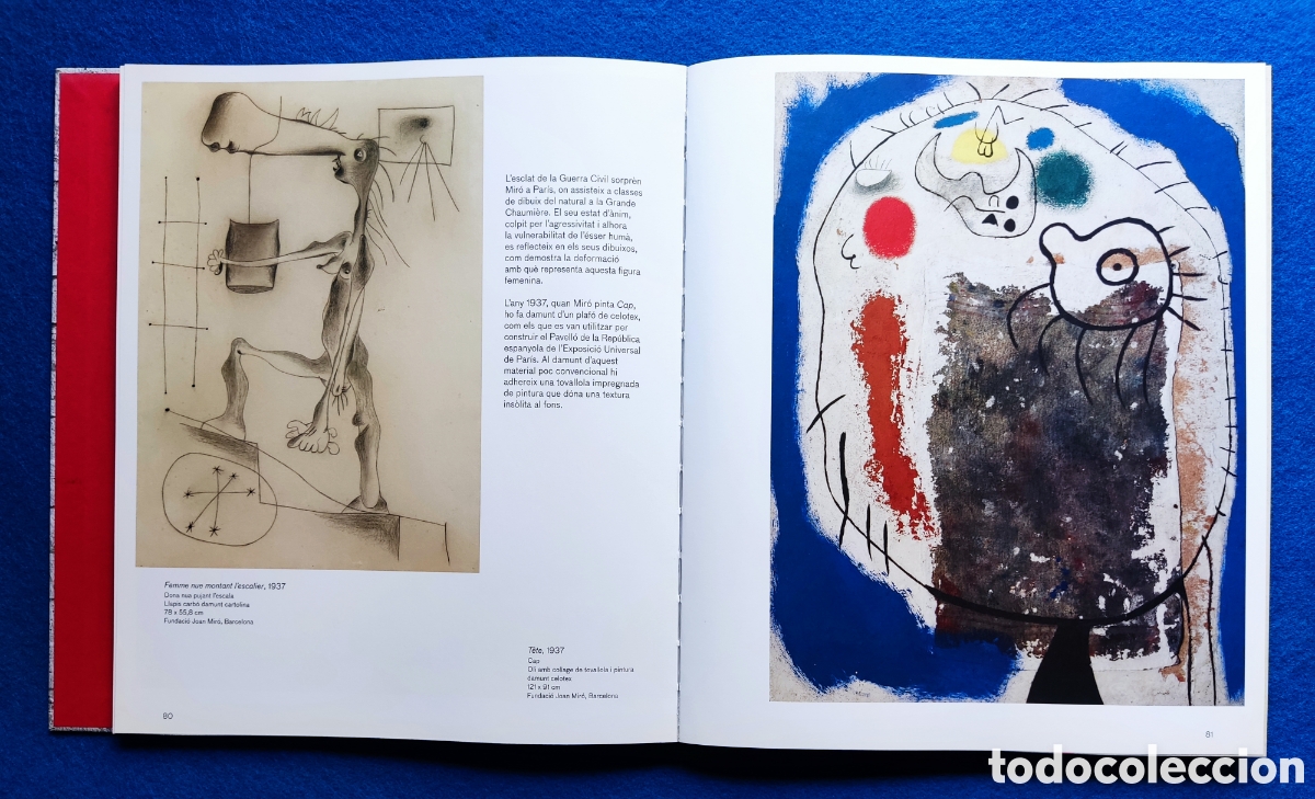Libros de segunda mano: JOAN MIR&Oacute; OBRA LIBRO - Foto 6