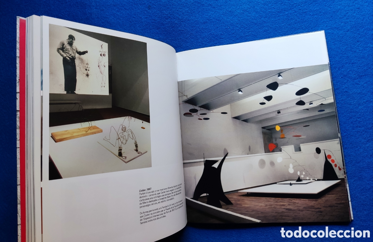 Libros de segunda mano: JOAN MIR&Oacute; OBRA LIBRO - Foto 9