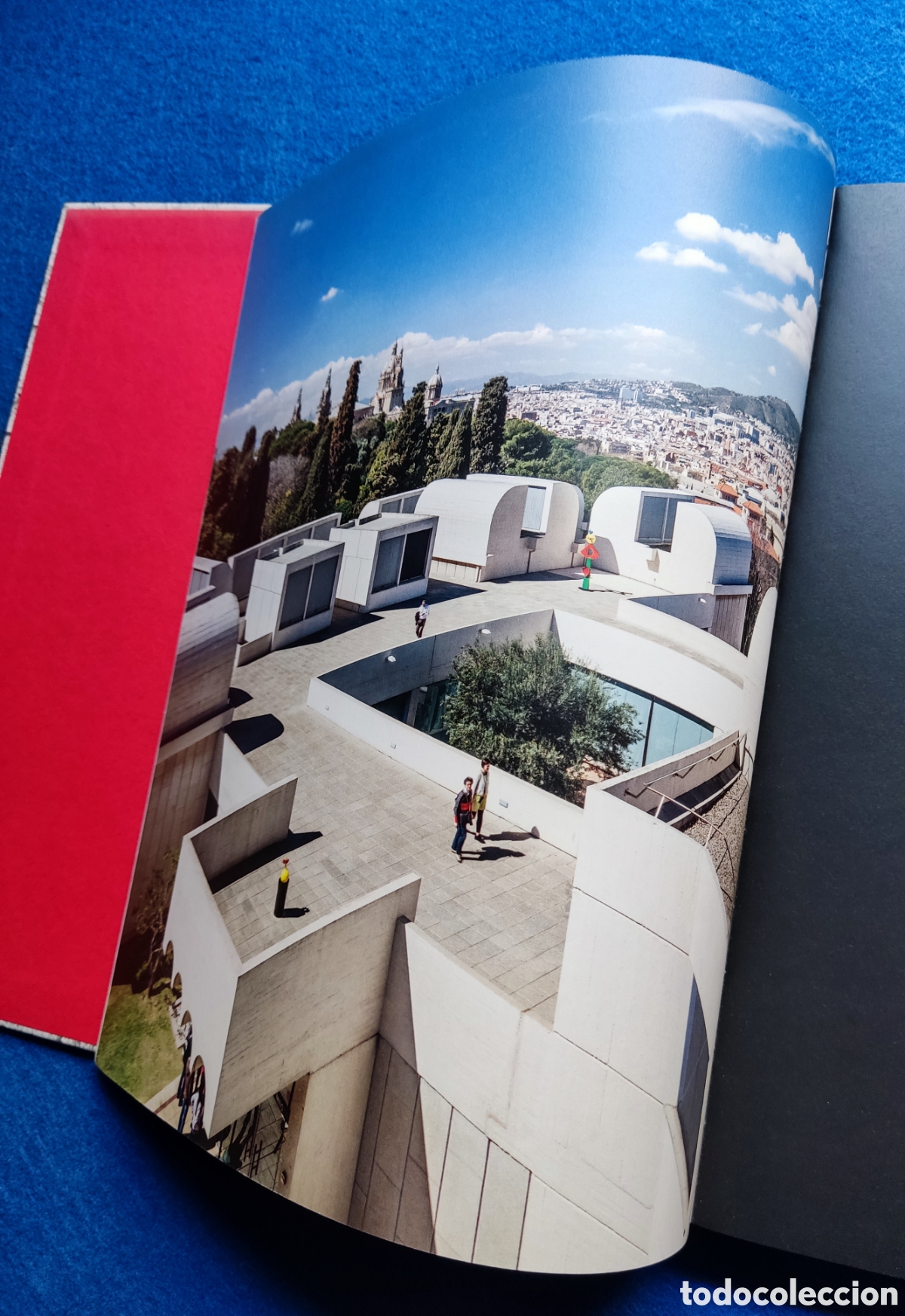 Libros de segunda mano: JOAN MIR&Oacute; OBRA LIBRO - Foto 12