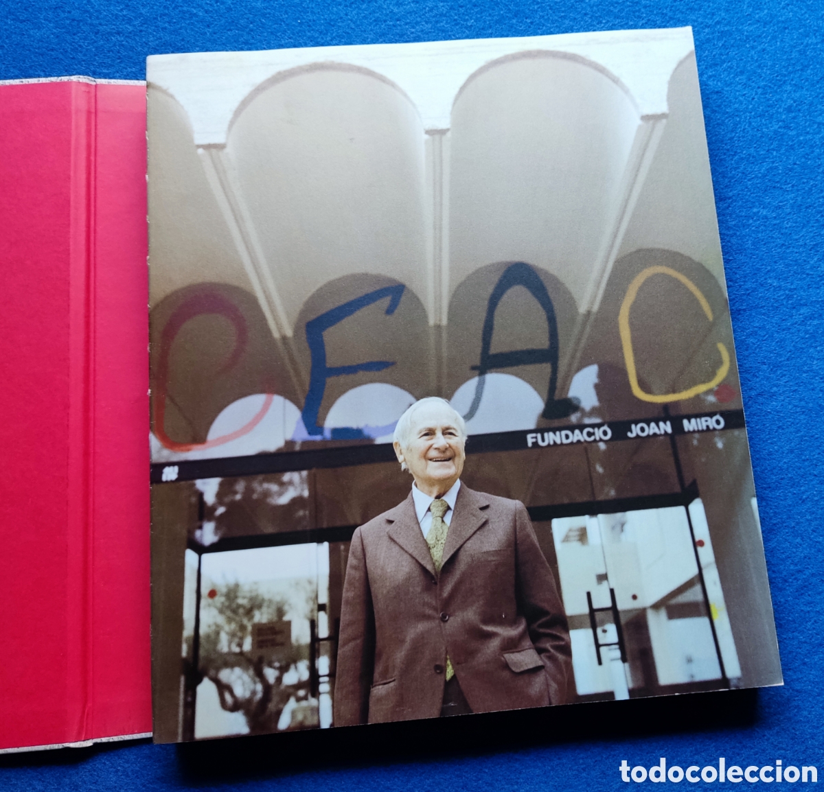 Libros de segunda mano: JOAN MIR&Oacute; OBRA LIBRO - Foto 1
