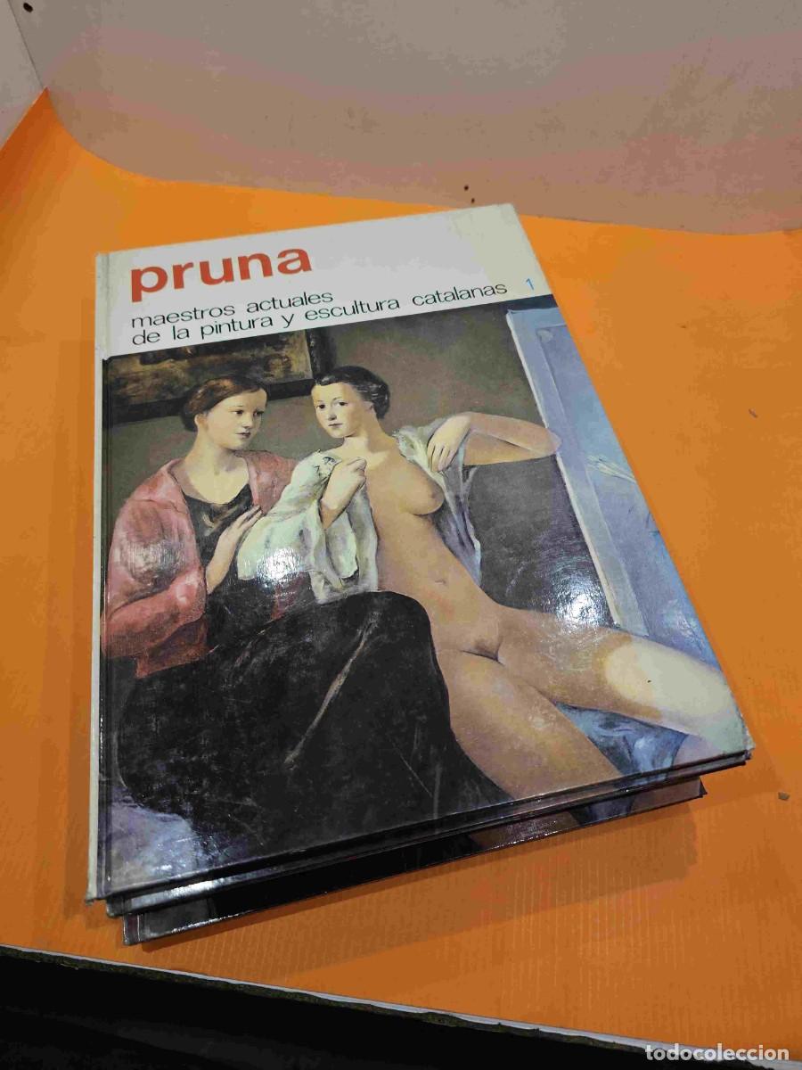 Gebrauchte B&uuml;cher: MAESTROS ACTUALES DE LA PINTURA Y ESCULTURA CATALANAS N&ordm; 1 PRUNA