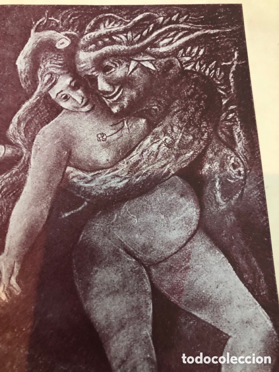 Libros de segunda mano: Laxeiro - libro del a&ntilde;o 1951 - Foto 3