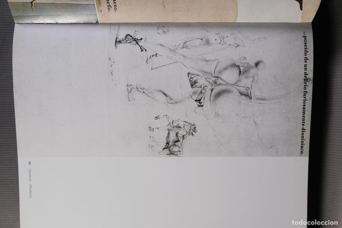 Libros de segunda mano: Dal&iacute; - Max Gerard - Editorial Blume 1968 - Foto 13