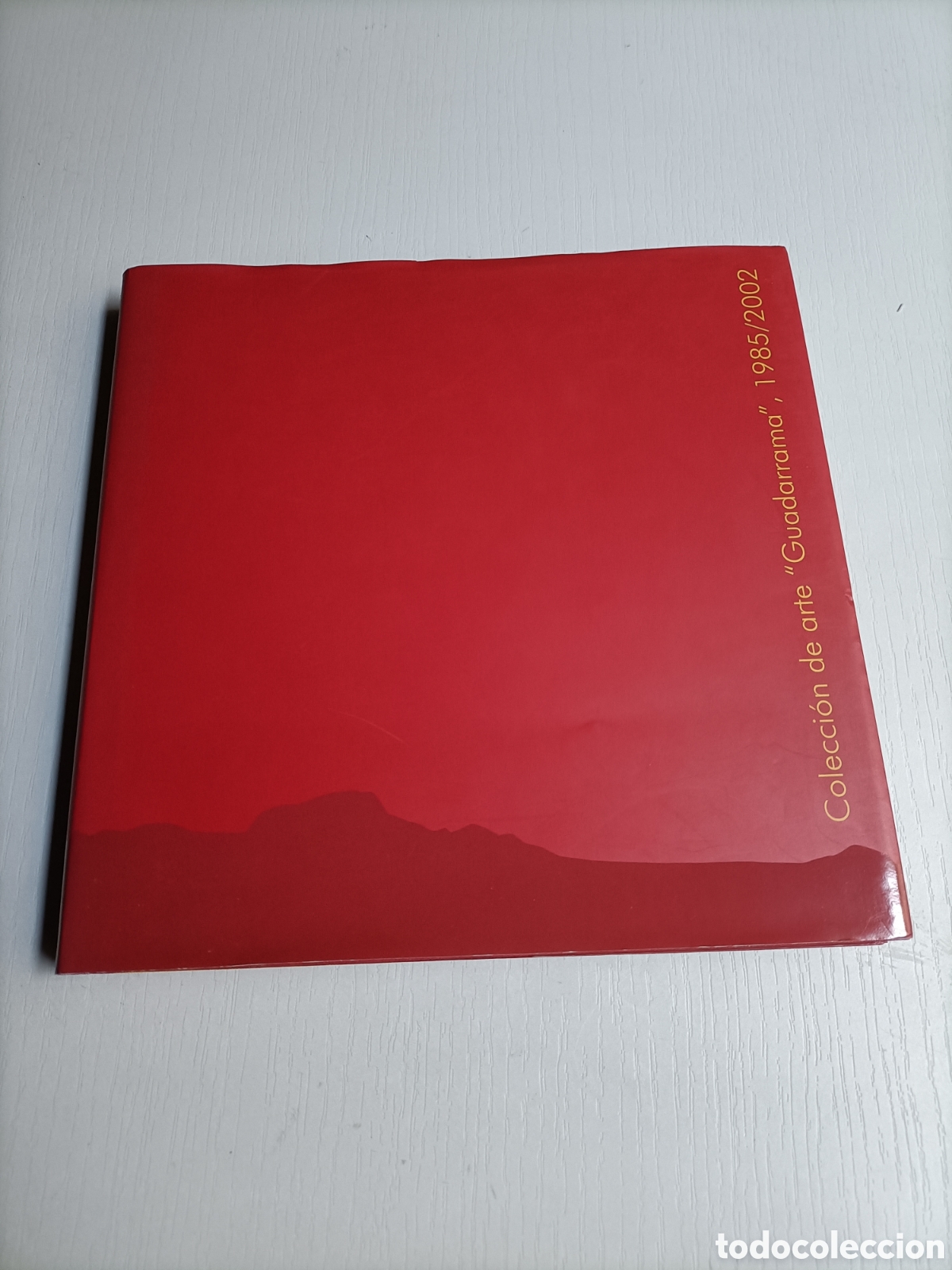 Libros de segunda mano: Colecci&oacute;n de arte Guadarrama 1985 2002