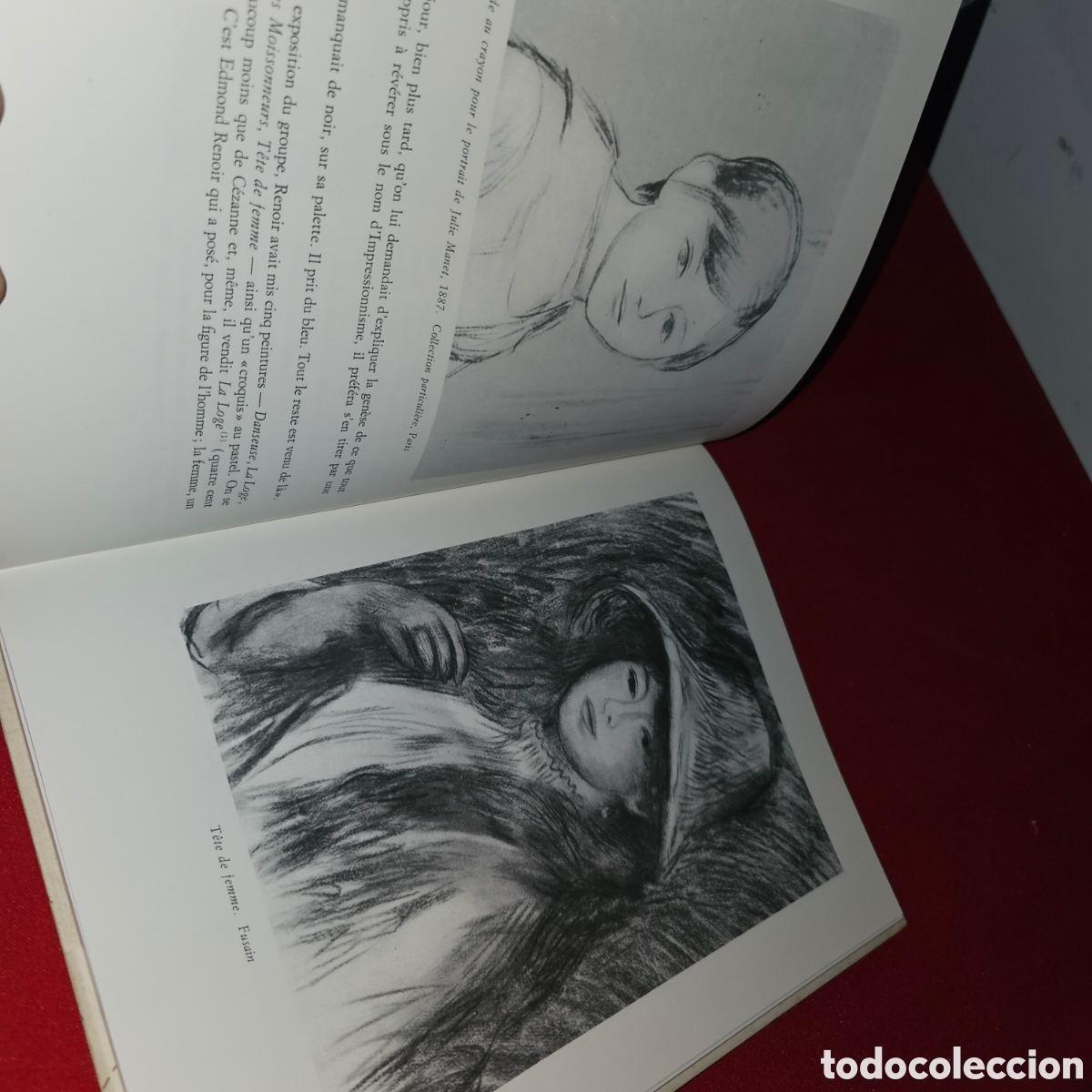 Libros de segunda mano: LIBRO RENOIR,EDICION EN FRANCES - Foto 2
