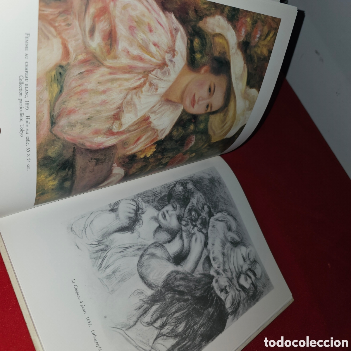 Libros de segunda mano: LIBRO RENOIR,EDICION EN FRANCES - Foto 3
