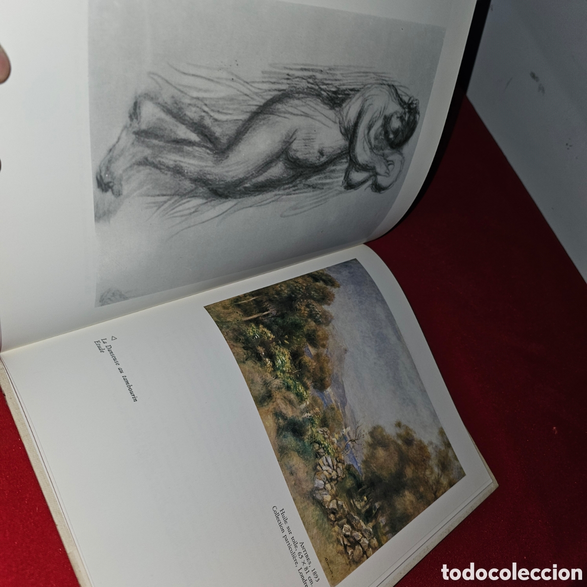Libros de segunda mano: LIBRO RENOIR,EDICION EN FRANCES - Foto 4
