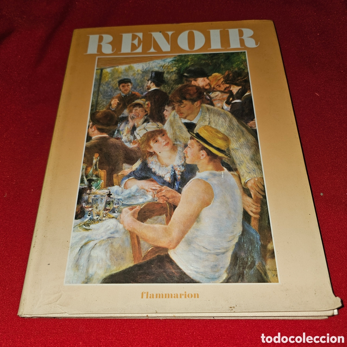 Libros de segunda mano: LIBRO RENOIR,EDICION EN FRANCES - Foto 1