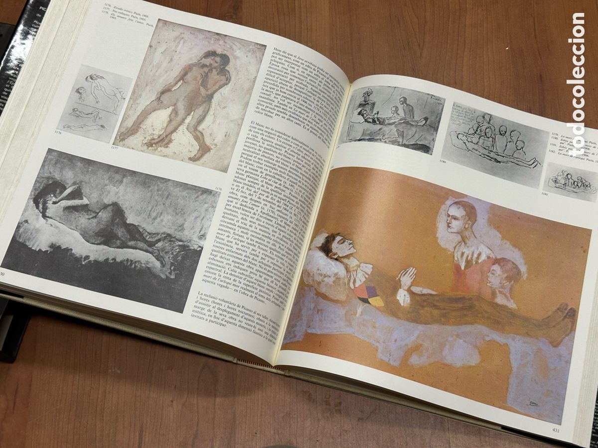 Libros de segunda mano: Picasso vivent ediciones poligrafa - Foto 5